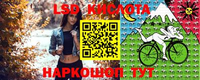 стафф Краснодар