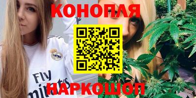 стафф Краснодар