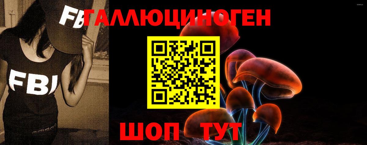Псилоцибиновые грибы Psilocybine cubensis Нарьян-Мар